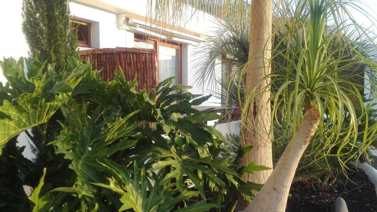 Villa La Perla Candelaria Exteriér fotografie
